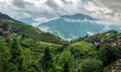 Naklejka premium rice terraces ‎⁨from Longsheng, Guangxi⁩, ⁨China⁩