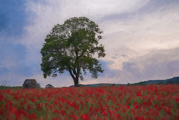 Fototapeta na wymiar Digital painting of a red poppy field at sunset in the Peak District National park, UK