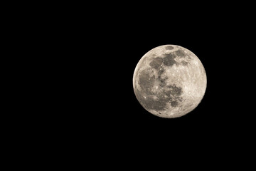 Fototapeta premium full moon on black