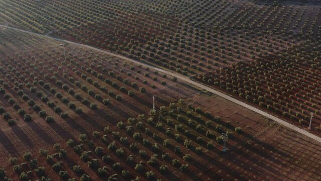 aerial drone shot of spanish plain castilla la mancha don quixote agriculture crops and farmers