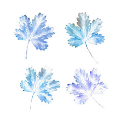 Set of colorful watercolor stamped painted leaves.