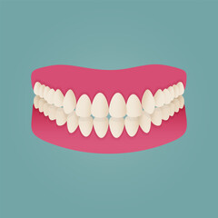 Medical dental diagram illustration. Orthodontist human tooth anatomy. Vector infographics with teeth diagrams.