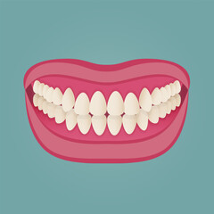 Medical dental diagram illustration. Orthodontist human tooth anatomy. Vector infographics with teeth diagrams.