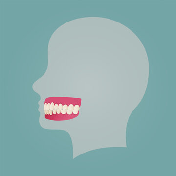 Medical dental diagram illustration. Orthodontist human tooth anatomy. Vector infographics with teeth diagrams.