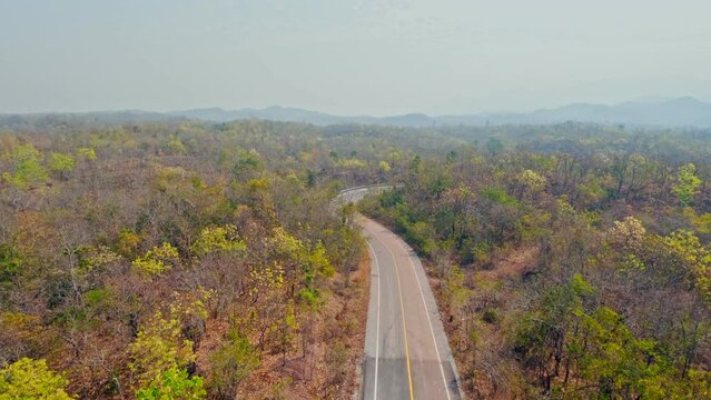 Aerial view shot of forest winter in Thailand.