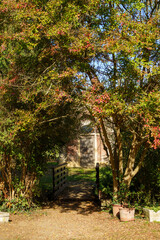 Autumn in the Monza Park, Italy