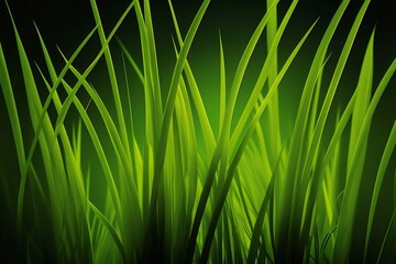 Spring grass, macro