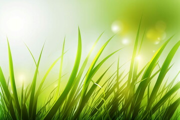 Spring grass with blurry selective focus, sun shines through the grass, macro