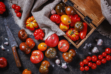 Many different breeds, shapes and sizes of tomatoes in an old wooden box and on a dark surface, flat lay, top view. Harvesting concept