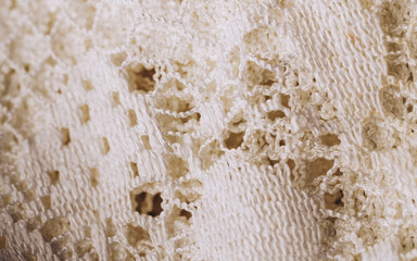 Vintage tablecloth