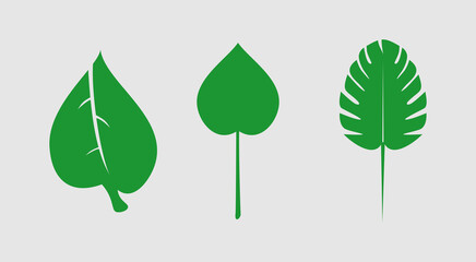 logo set of three different leaves