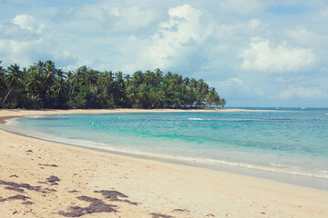 Fototapeta na wymiar Travel background with Caribbean sea and green palm trees on beach.