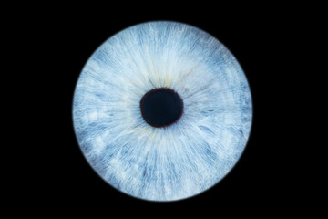 Human eye iris close up isolated on black background