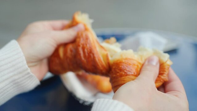 Female hands breaking a french croissant in a cafe