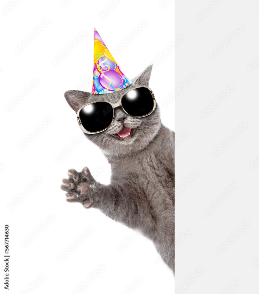 Poster happy cat wearing party's cap look from behind empty white banner and waved his paw. isolated on whi