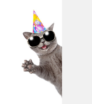 Happy cat wearing party's cap look from behind empty white banner and waved his paw. isolated on white background