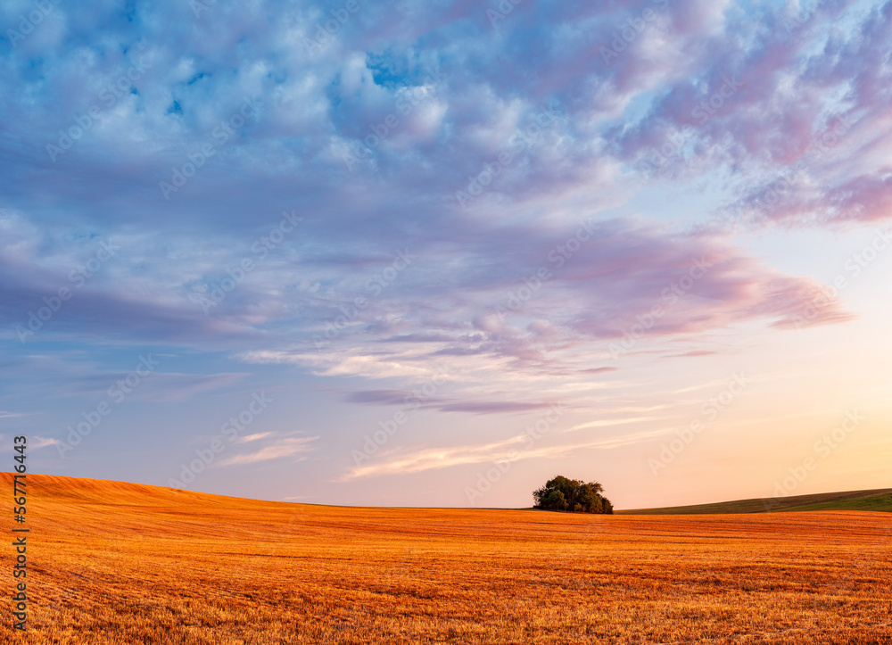 Poster sky with beautiful clouds over rolling hills with stubble field at sunset in summer