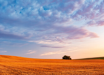 Sky with beautiful clouds over rolling hills with stubble field at sunset in summer