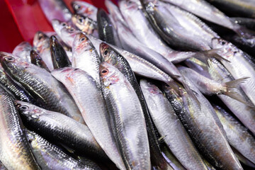 Fresh fish on the market stall