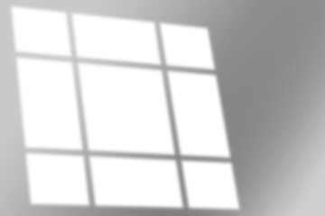 window shadow Tropical plant overlay element for portrait easy to use PNG