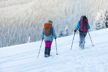 hiking in the mountains on snowshoes. two girls with backpacks go hiking in the snow. Travel and...