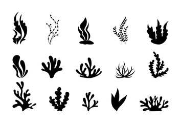 Sea corals silhouettes, seaweed, black alga and kelp. Marine grass underwater plants, aquatic weed, tropical water aquarium, nature beach. Botanical laminaria. Vector doodle tidy illustration - obrazy, fototapety, plakaty