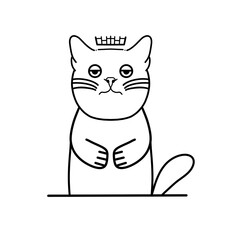 cat bored tsirth desaing