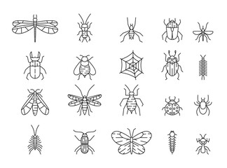 Fototapeta na wymiar Insects icons. Line ant and mosquito, butterfly and different bugs. Animals with web, beetle, bees and pests, dragonflies and mantis. Outline pictogram. Vector illustration garish set