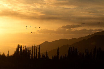 Mountains of Leh Ladakh