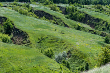 Ravine covered with greenery. Landscape valley with geological faults. Earthen mountains and bumps...