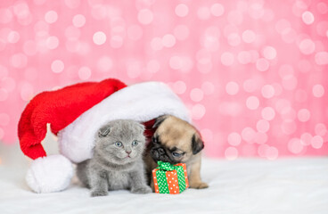 Playful Pug puppy and tiny kitten sit under big red santa's hat with gift box on festive background. Empty space for text. Shade trendy color of the year 2023 - Viva Magenta background