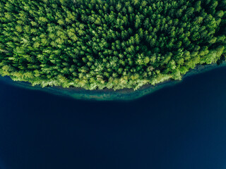 Aerial view of blue water lake  and green summer woods in Finland. - obrazy, fototapety, plakaty