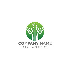 Fototapeta premium agriculture logo design vector, nature logo inspiration