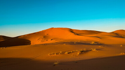 Fototapeta na wymiar An arid desert of the territory of the Kingdom of Saudi Arabia is called Rawdat Khuraim