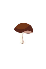 mushroom icon. flat illustration of mushrooms art icons