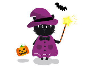 魔法使いの格好をした黒猫とハロウィンモチーフのイラスト　ステッキ