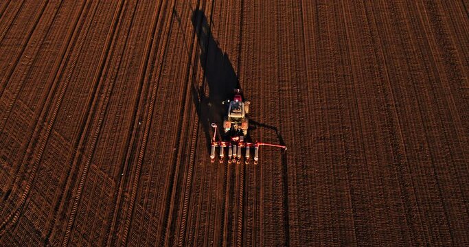 Farmer in tractor seeding corn maize crops at industrial farm