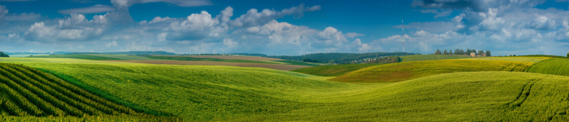 Panoramic agricultural landscape. A wonderful rural hills landscape in summer.