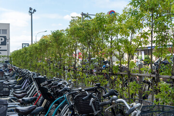 緑の駐輪場に買い物の自転車が、キレイに整列して駐輪する(複合施設)