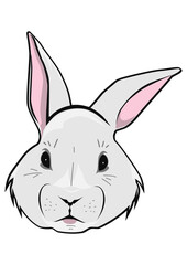 Fototapeta na wymiar Cartoon Easter bunny face. Easy to use vector without gradients or other effects.