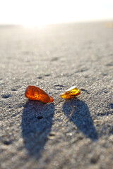 Bernstein an der Ostsee