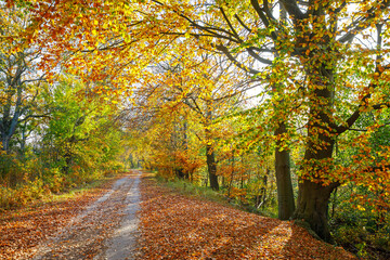 Nationalpark Vorpommersche Boddenlandschaft