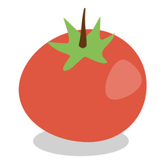 fresh tomato
