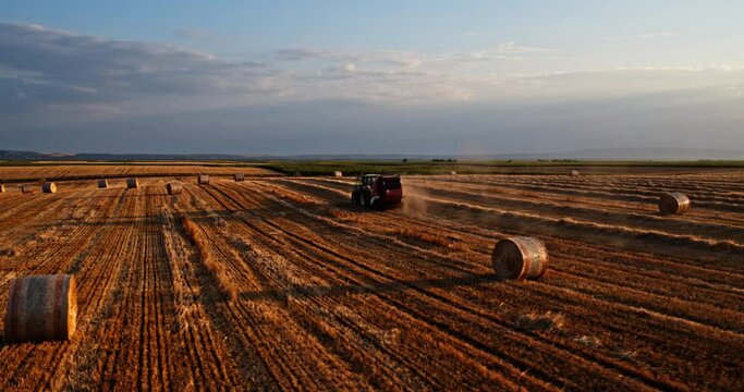 Agricultural farm tractor baler in action on a harvested wheat field