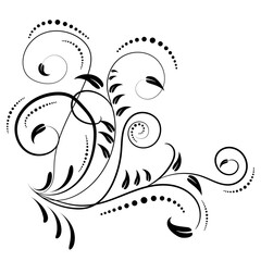 Calligrafic flourishes on white background.