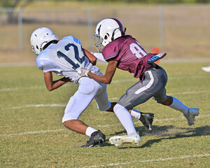 Young athletes making amazing plays during a competitive football game