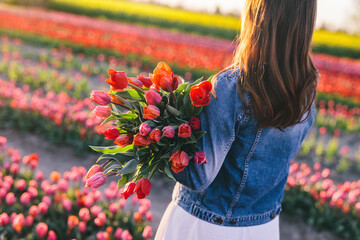 Woman with flowers bouquet on tulip field in spring.