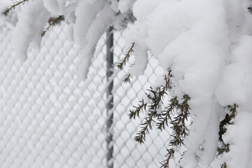 Snow-covered chain-link metal fence after a blizzard, snowy winter yard fence after winter storm, snowy winter background scene