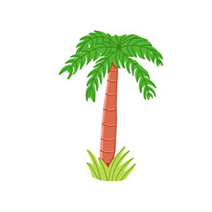 Palm tree. Hand drawn vector illustration in cartoon style.
