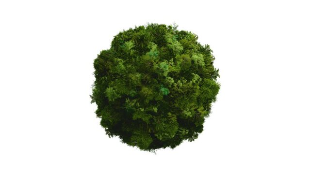 Green world ball covered in trees looping motion